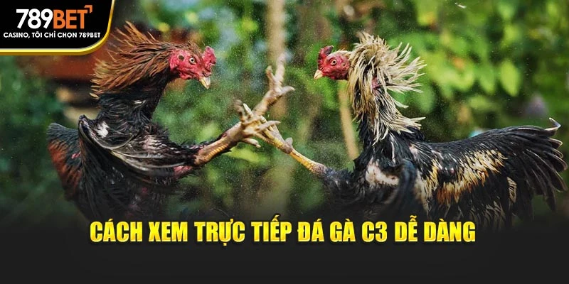 Cách xem trực tiếp đá gà C3 dễ dàng