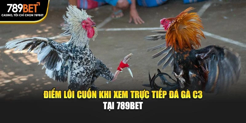 Điểm lôi cuốn khi xem trực tiếp đá gà C3 tại 789BET