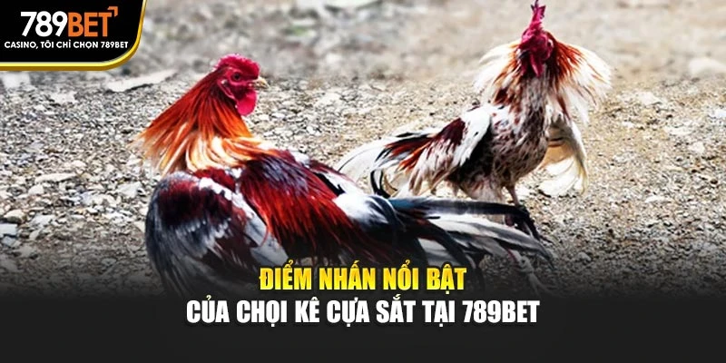 Điểm nhấn nổi bật của chọi kê cựa sắt tại 789BET