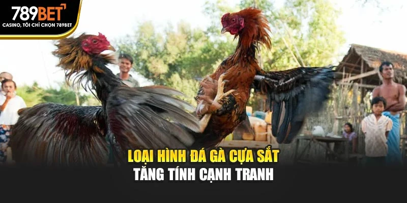 Loại hình đá gà cựa sắt tăng tính cạnh tranh