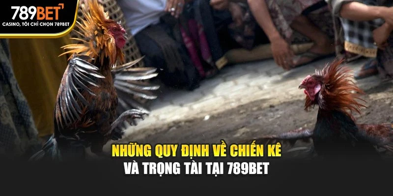 Những quy định về chiến kê và trọng tài tại 789BET