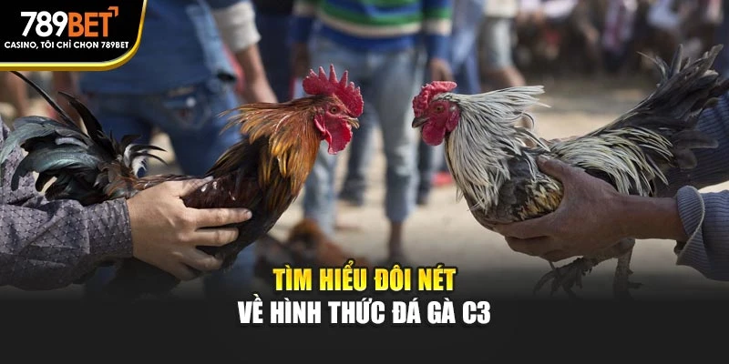 Tìm hiểu đôi nét về hình thức đá gà C3